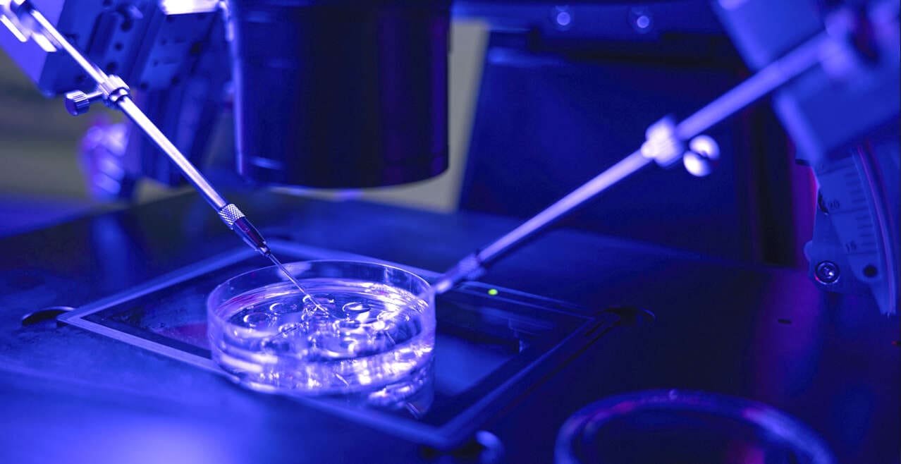 In Vitro Fertilization (IVF) / Intracytoplasmic Sperm Injection (ICSI).