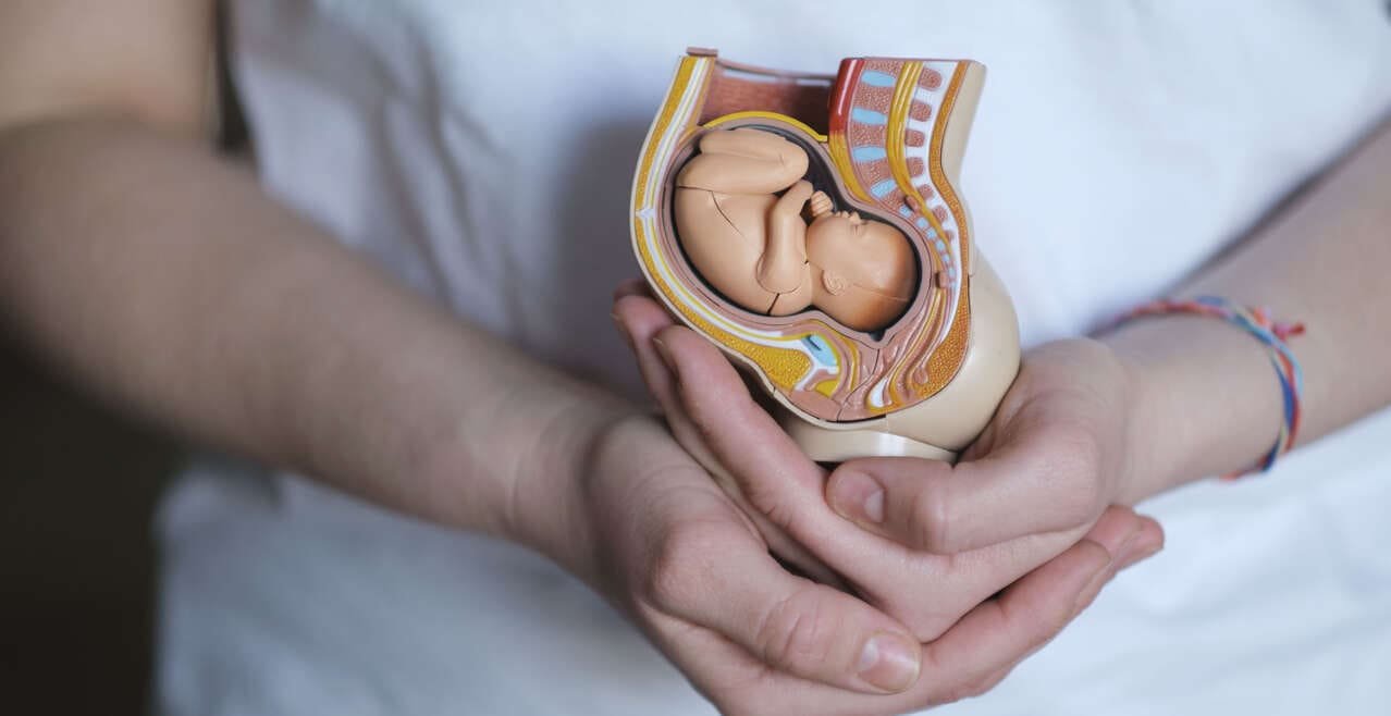 Embryo Cryotransfer