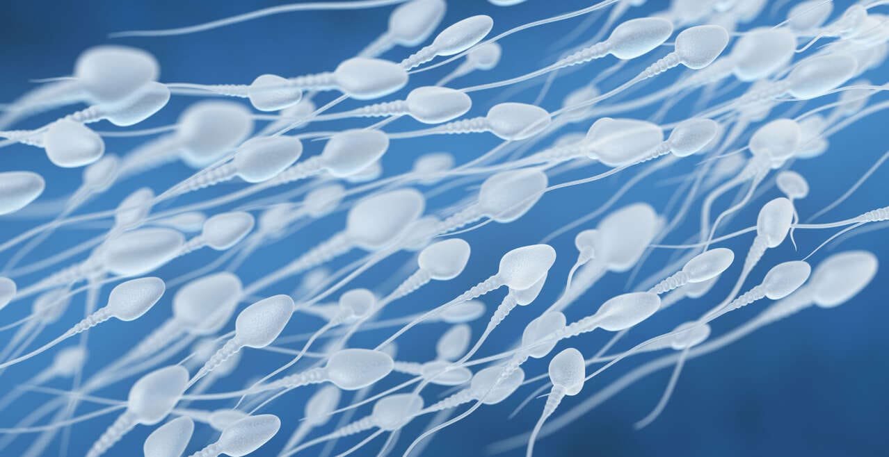 (IVF) with Donor Sperm