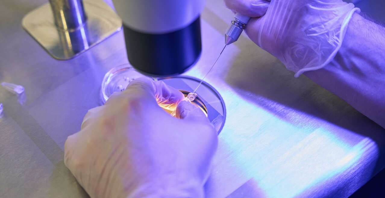 In Vitro Fertilization (IVF) with Egg Donation