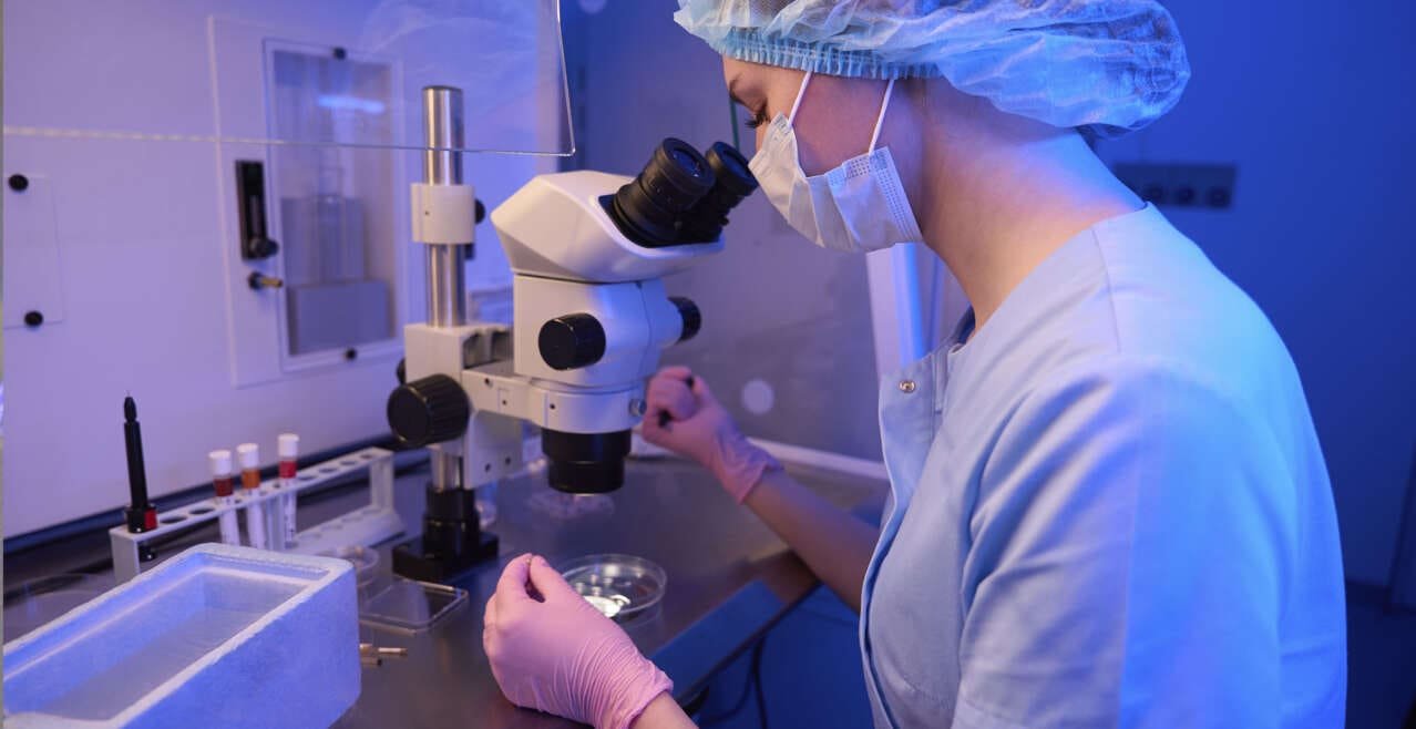 In Vitro Fertilization (IVF) with Double Donation (Egg + Sperm)