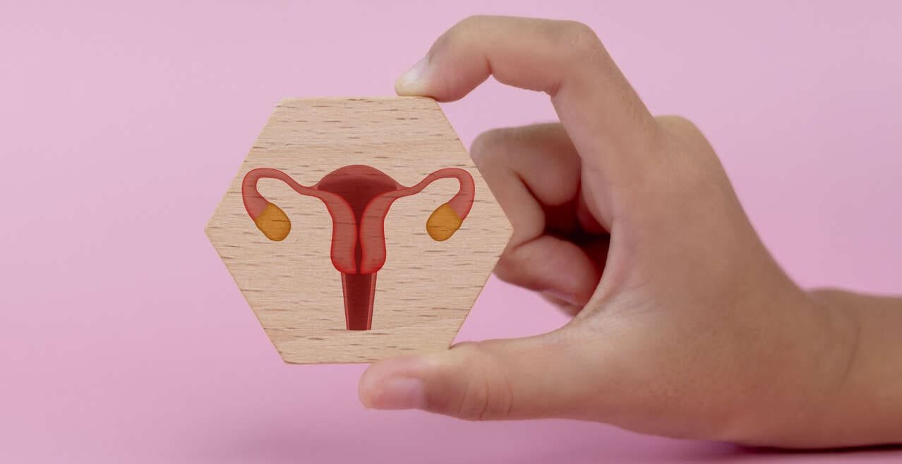 Gynecological Check-up and Assessment of Future Fertility